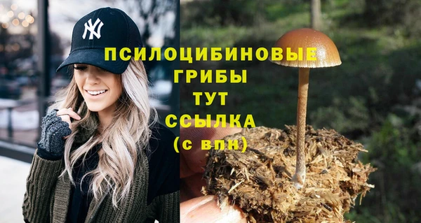 дурь Алексеевка