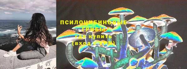 молекула духа Алексин