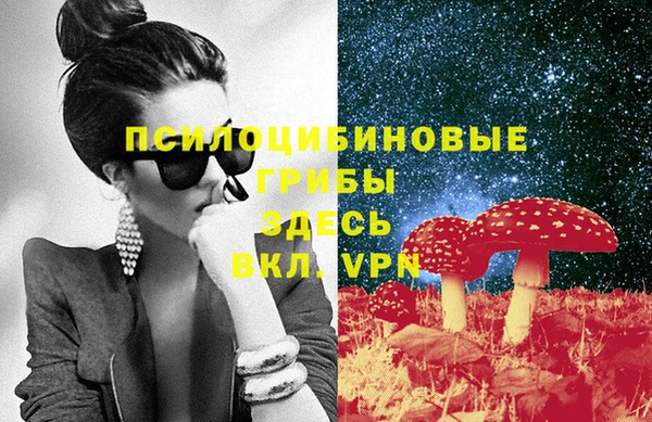 молекула духа Алексин