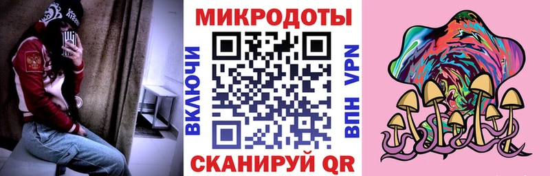 Псилоцибиновые грибы GOLDEN TEACHER  kraken ССЫЛКА  Новозыбков  нарко площадка Telegram  купить закладку 